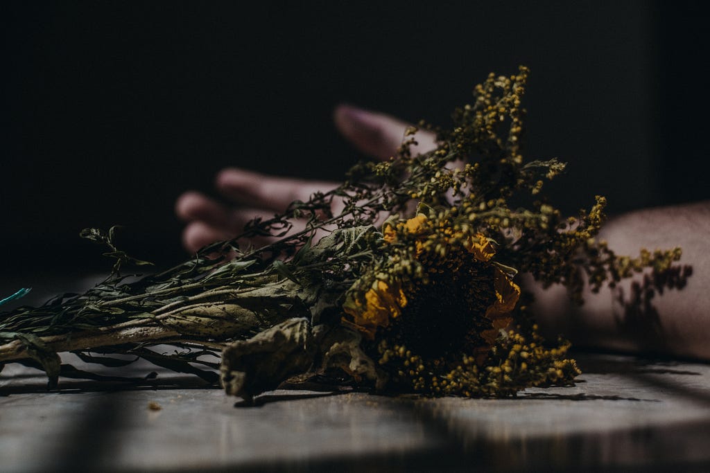 Some dried flowers and a hand in the background