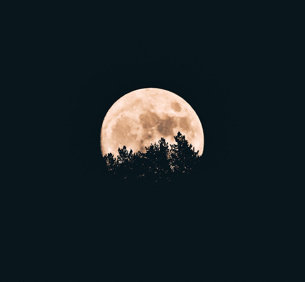 A large round moon ascending over some trees at night.
