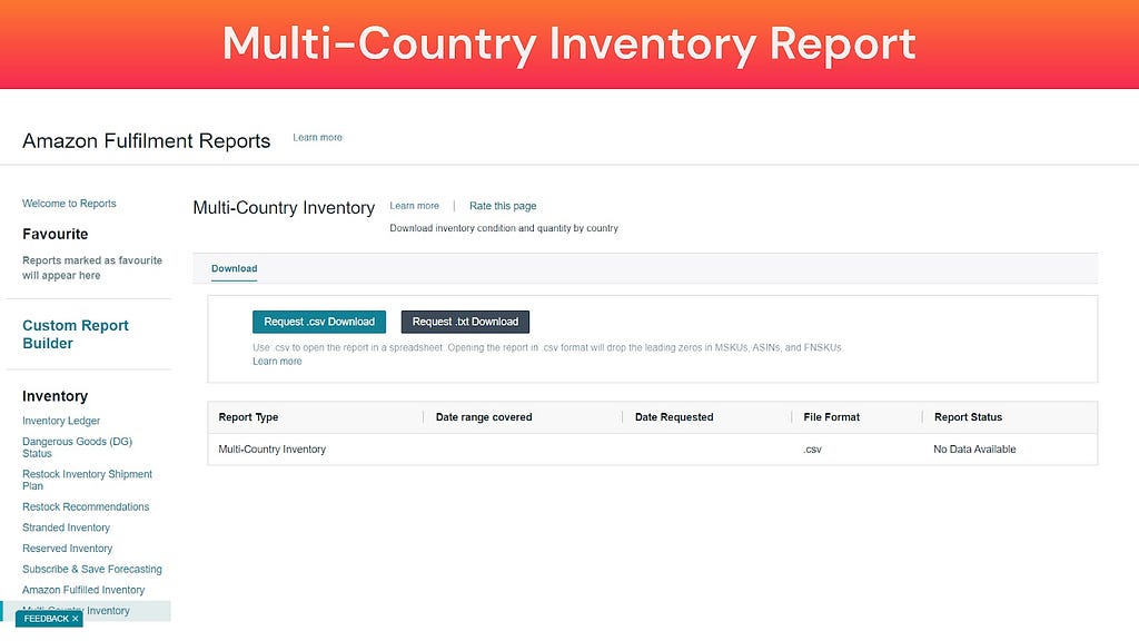 Screenshot of Multi-Country Inventory Report (Amazon Fulfillment Reports)