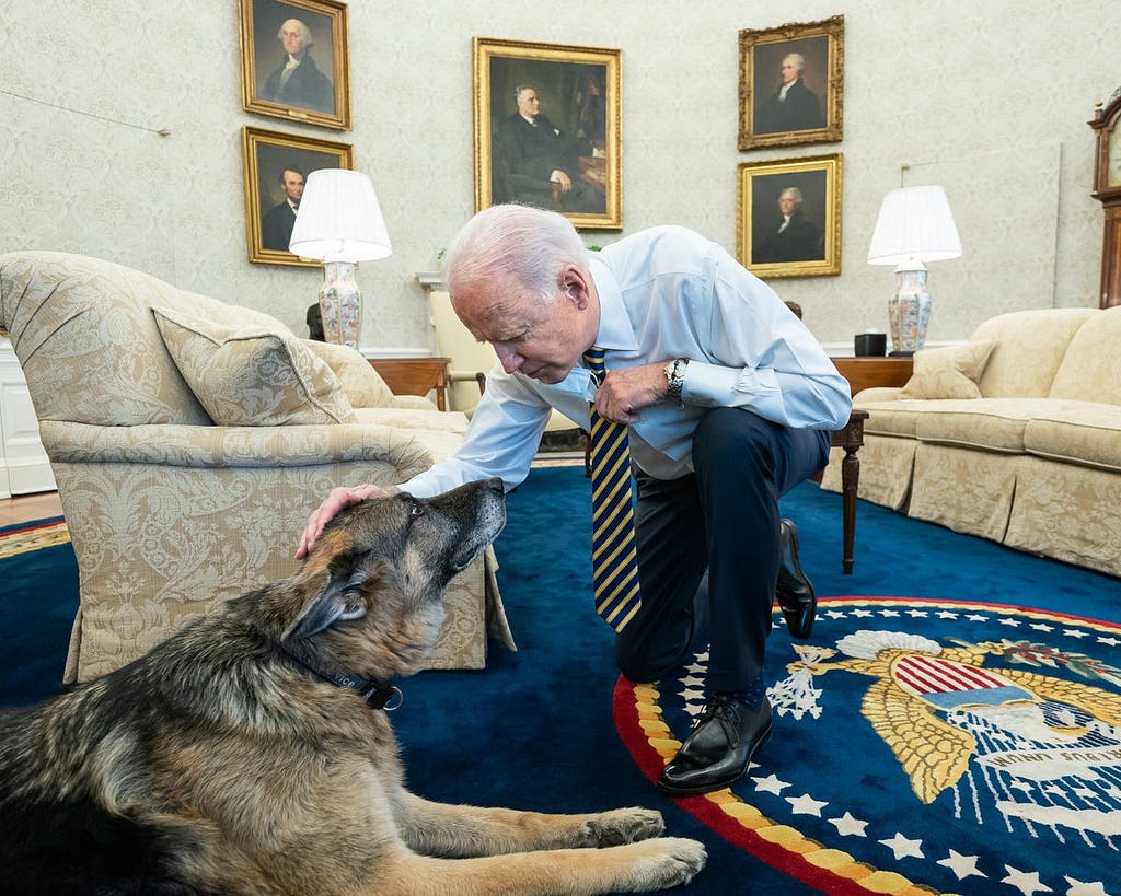 President Joe Biden pets the Biden family dog Champ in the Oval Office on Feb. 24, 2021, prior to a bipartisan meeting with House and Senate members to discuss supply chains.