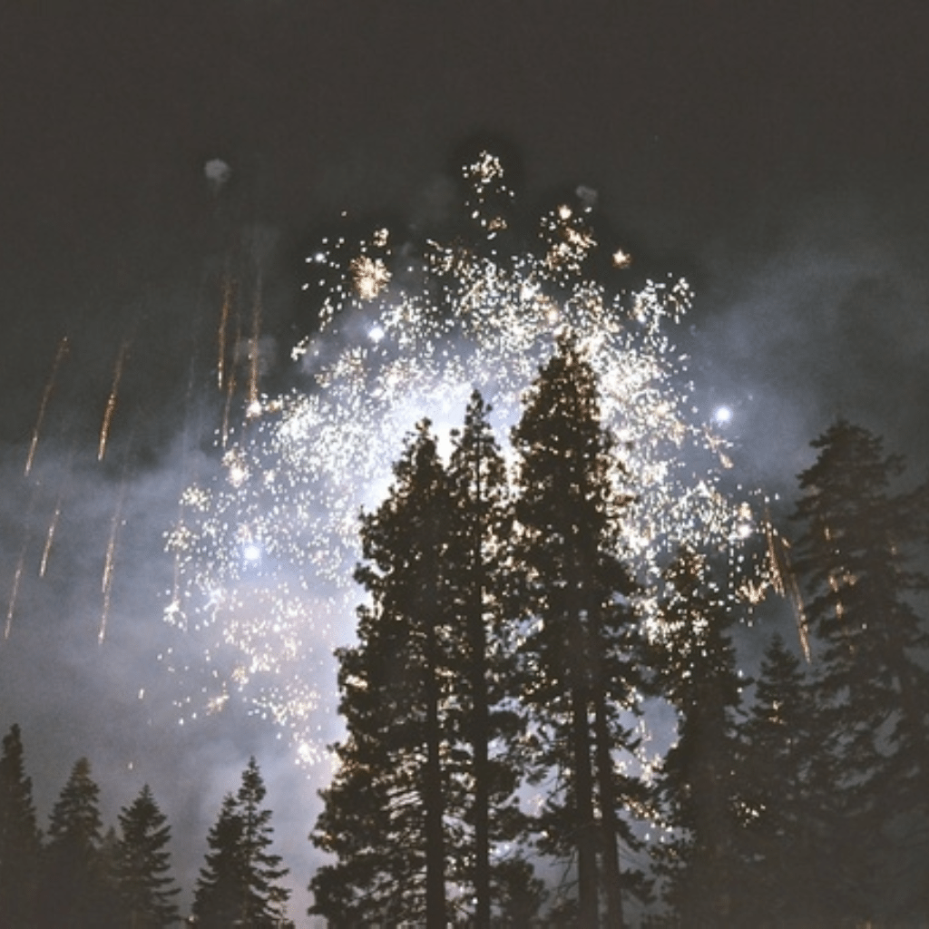 Fireworks above a line of trees - representing a New Year's resolution