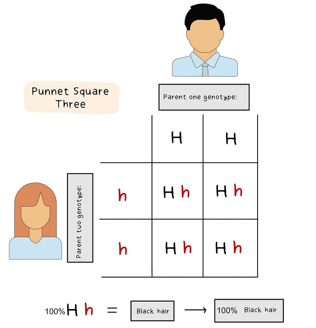 Punnet square parents with red and black hair