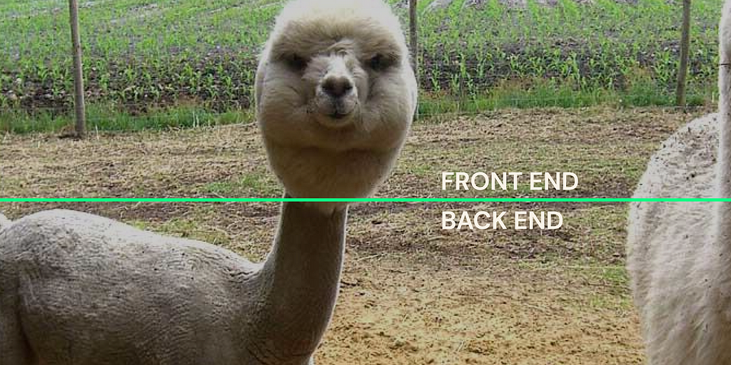 Meme showing an alpaca whose body is shaved but whose head is not. A line is drawn horizontally below the alpaca’s head, with the words “FRONT END” above the line, and the words “BACK END” below the line.