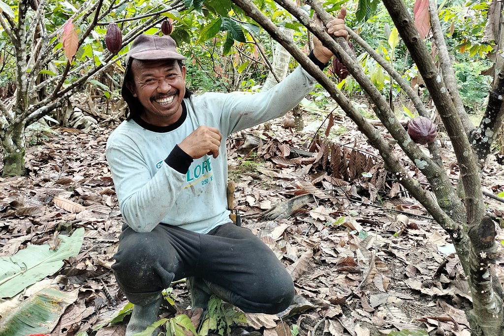 A smiling cacao farmer kneels among his crops in Indonesia.