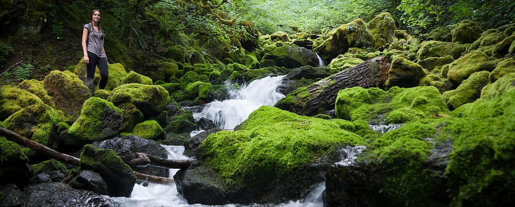 A creek rushing downstream in between huge rocks covered with bright green moss. The sun is peering through the deep tree canopy above. Someone is standing toward the left of the creek smiling at the camera.