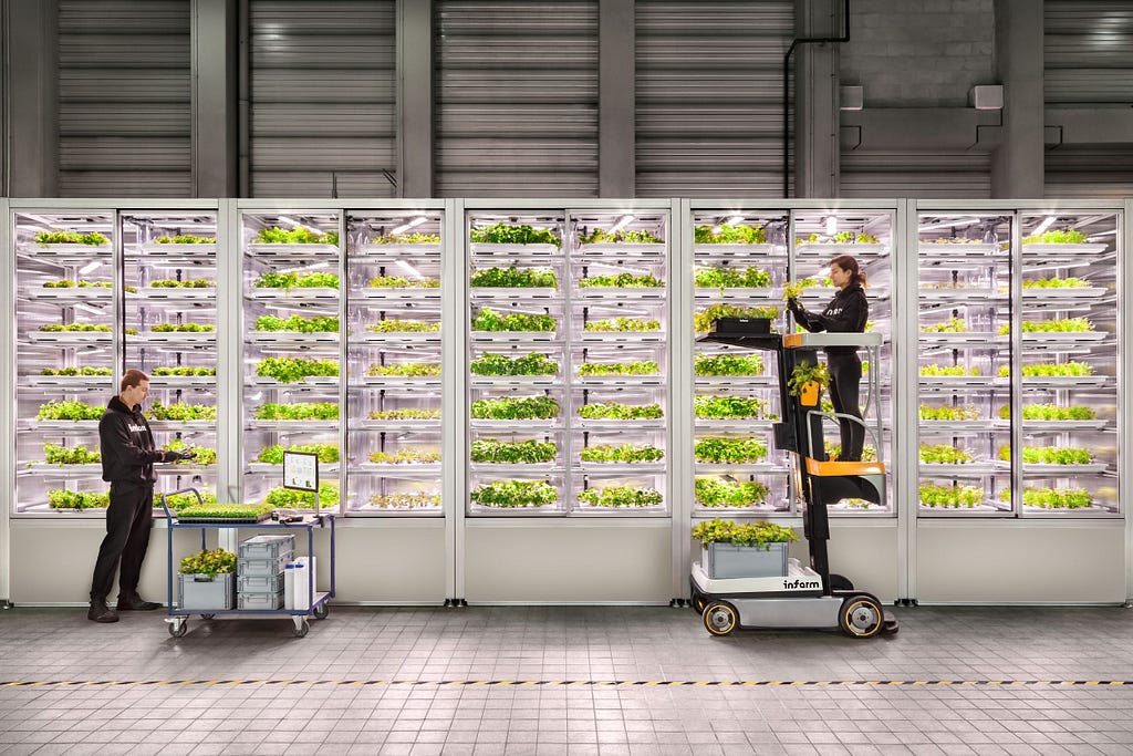 Five sets of vertical shelves of crops along a row in an indoor setting. Two staff wearing uniforms tend to the crops.
