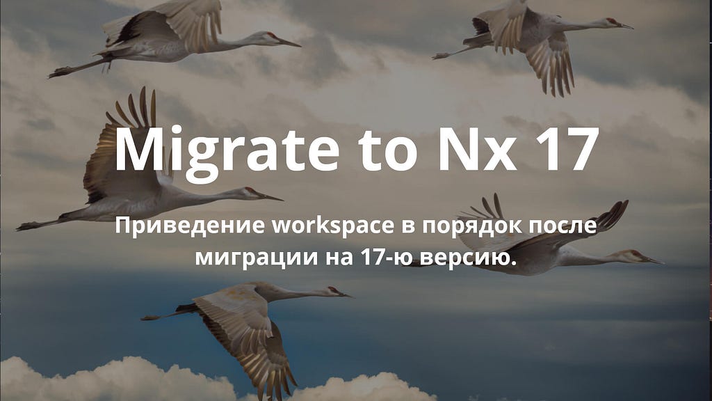 Приведение workspace в порядок после миграции на Nx 17