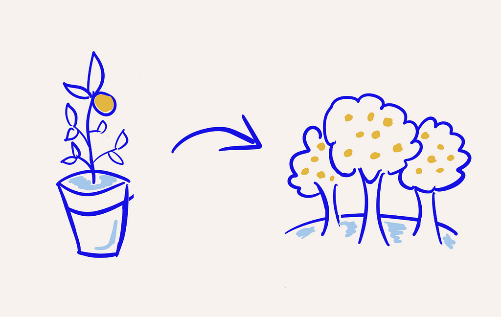 a pot plant evolving into a whole orchard