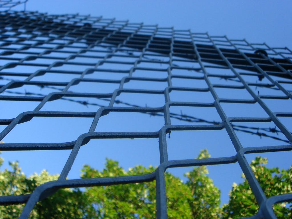 A chain link prison fence with the sky and bushes visable on the other side of it.