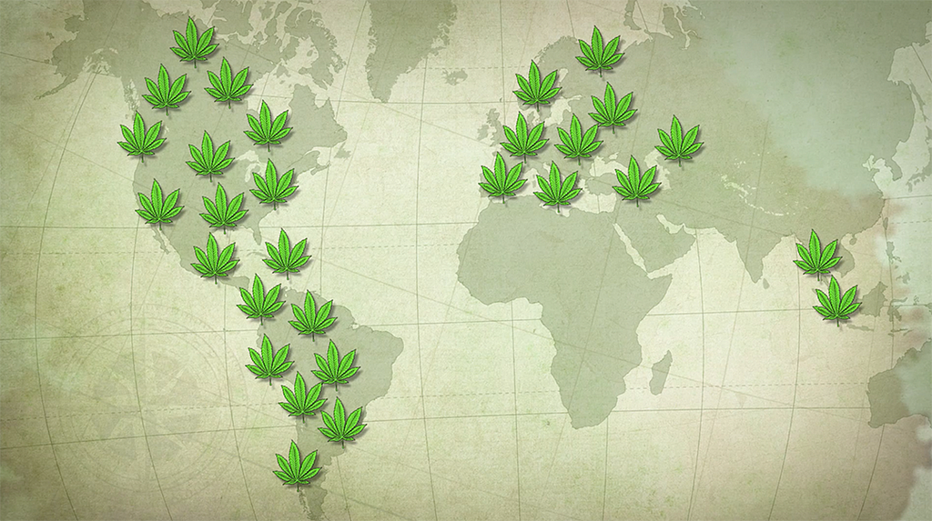 El Cannabis en el Mundo