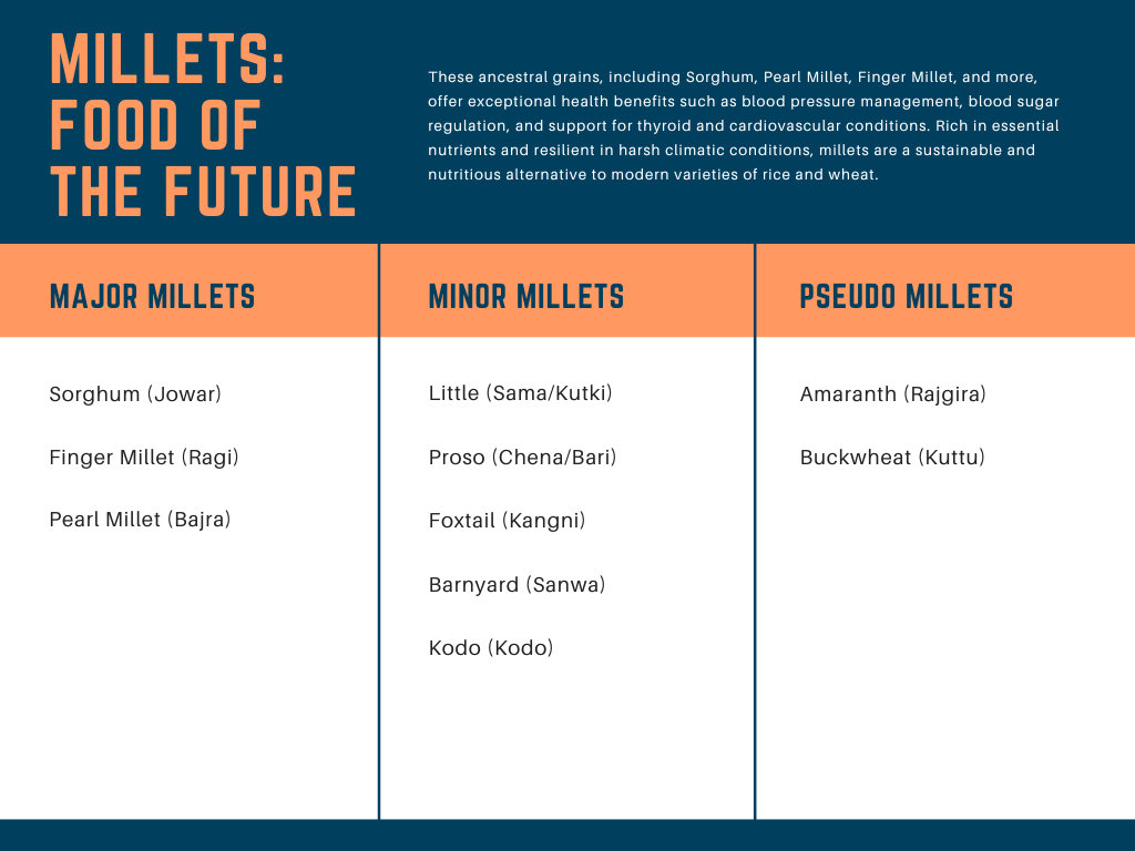 Infographic showing categorization of millets into major, minor and pseudo.