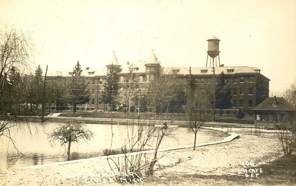 Former Eloise Asylum