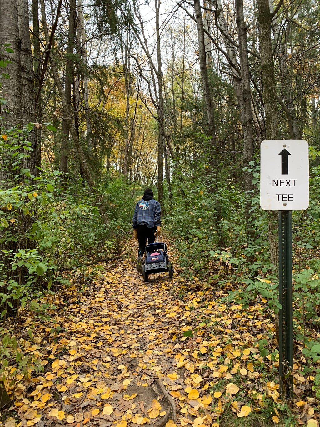 A walk through a wooded course with my disc cart