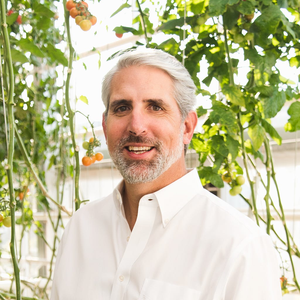 Man in white collared shirt standing in front of tomato plants