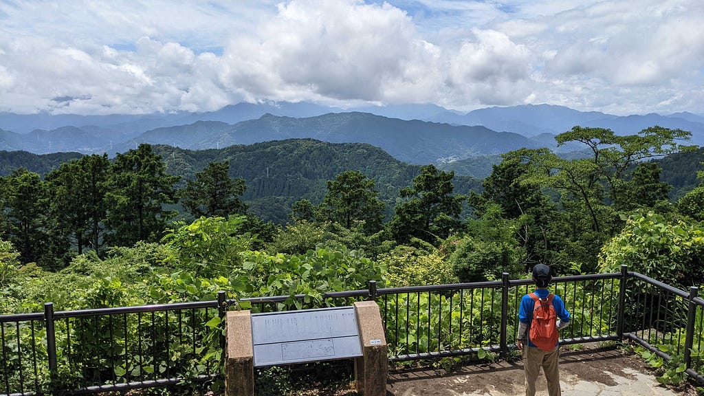 A view of mountains covered in green trees