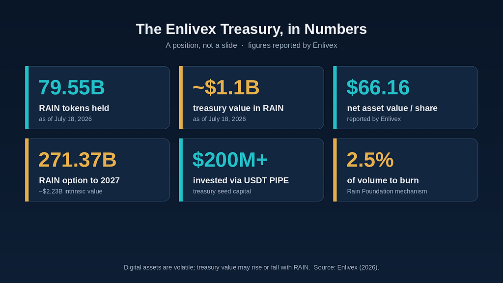 Grid of six stat cards on dark background: 79.55B RAIN tokens held, about 1.1 billion dollars treasury value, 66.16 dollars net asset value per share, 271.37B RAIN option to 2027 worth about 2.23 billion dollars, over 200 million dollars invested via USDT private placement, and 2.5% of volume to burn.