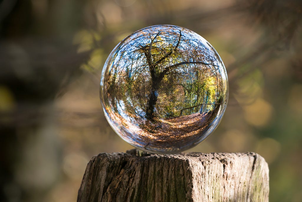 Tree in a crystal ball (macro) | Credit Pixabay (via Pexels)