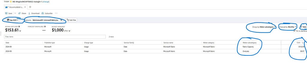 Specific Fabric Resource Cost grouped Meter Sub-Category