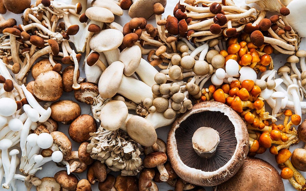 image: [goodeggs.com](https://blog.goodeggs.com/blog/cooking-different-types-of-mushrooms)