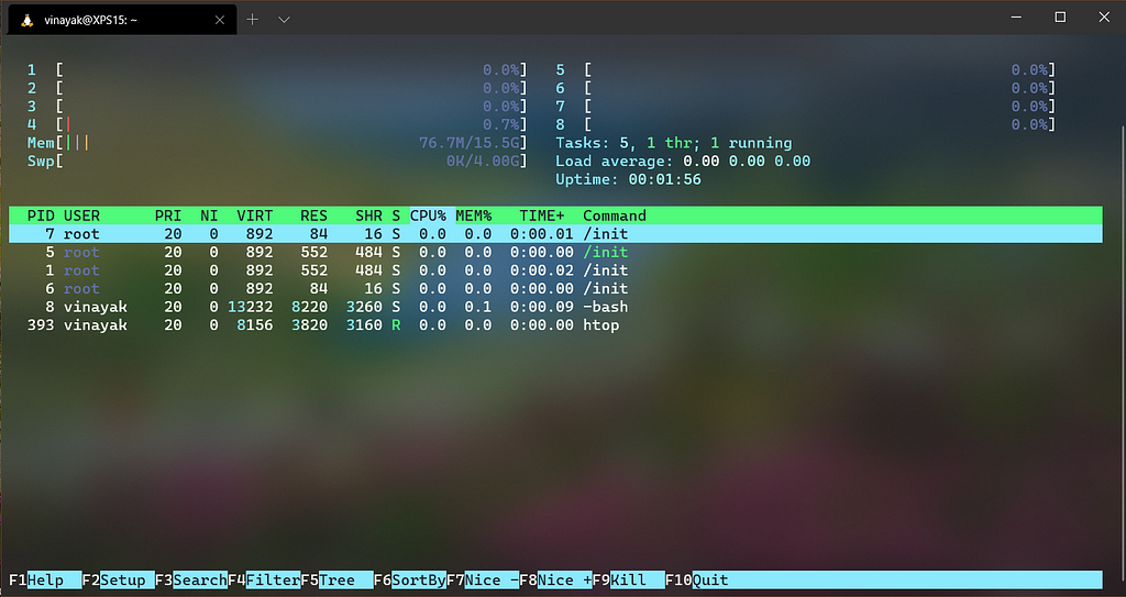 htop on Linux Terminal