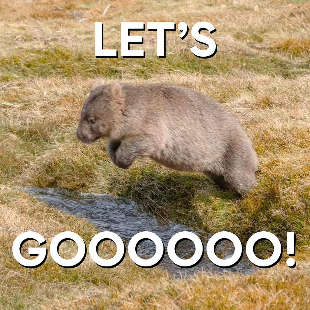 Wombat jumping over a river with the text: “Let’s go!”