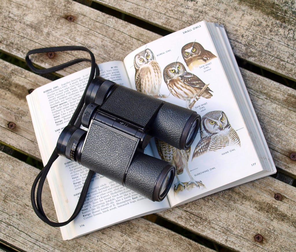 Pair of binoculars on an open birding guidebook with pictures of owls.