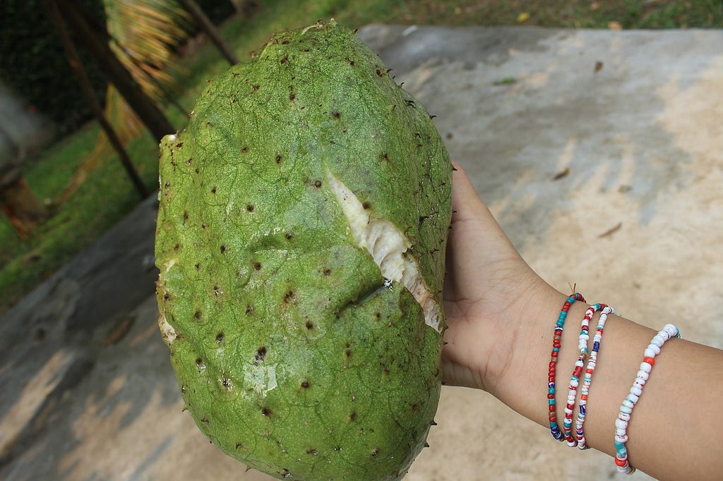Soursop fruit, guanabana, very sour and exciting flavors!