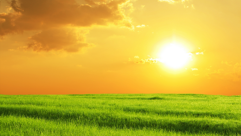 yellow sky, green open grassland, rising sun