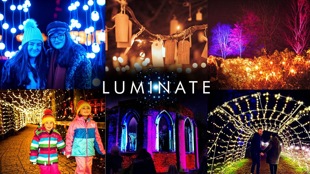 Luminate Trail © Luminate UK — Facebook