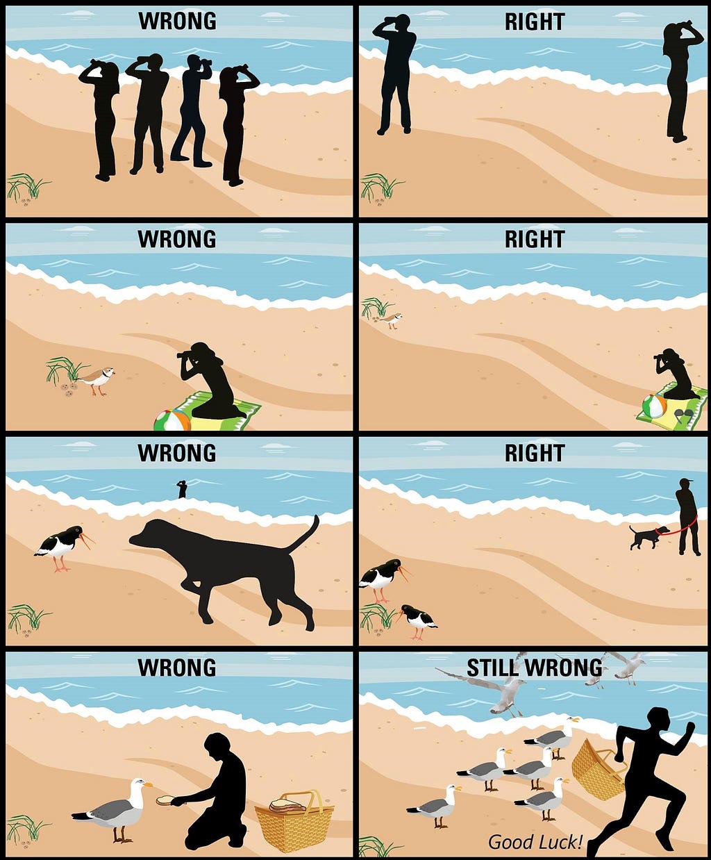 Eight-panel cartoon. All scenes show drawing of beach and ocean. Panel 1 — Text ‘Wrong’ silhouette of group birding. Panel 2 — Text ‘Right’ silhouette of 2 birders separated. Panel 3 — Text ‘Wrong’ silhouette of birder too close to small bird. Panel 4 — Text ‘Right’ silhouette of birder keeping distance. Panel 5 — Text ‘Wrong’ silhouette of dog close to small bird no leash. Panel 6 — Text ‘Right’ two small birds dog far away on leash. Pane