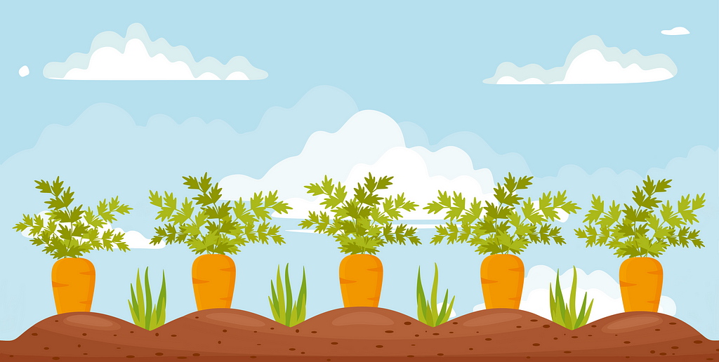 Digital illustration of five carrots in a field in front of a blue sky.