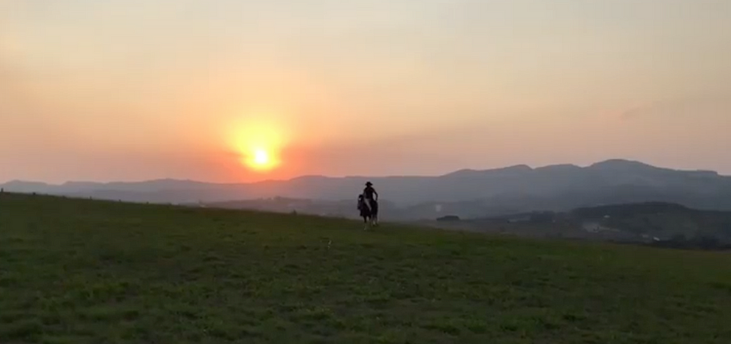 Por do sol laranja e cavalo montado