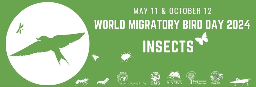 Text: World Migratory Bird Day 2024 is on May 11 and October 12 and the theme is Insects. Illustrations of different insects and a bird. World migratory Bird Day, CMS, AEWA, Environment for the Americas, EAAFP logos.