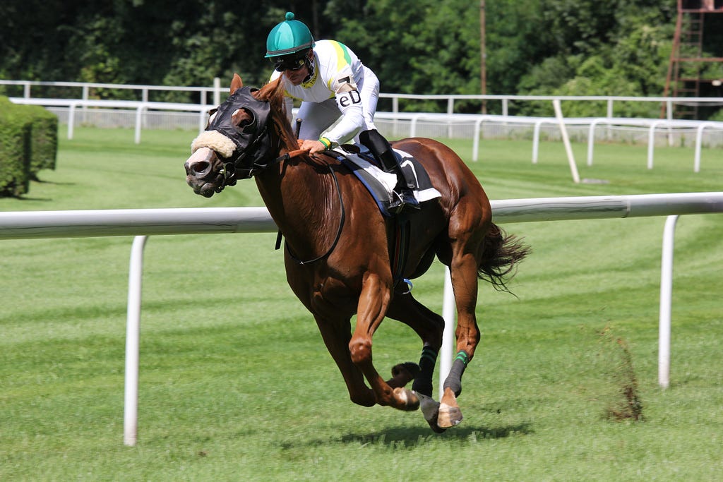 A brown horse with a rider on top during horse racing