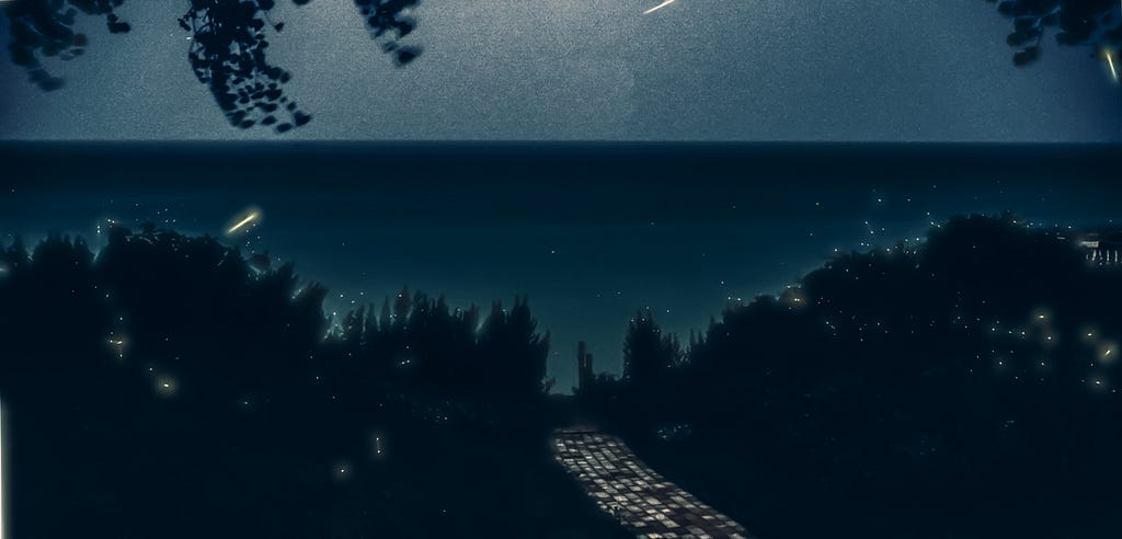 Night sky, Lake Ontario, fireflies in the wild shrubbery