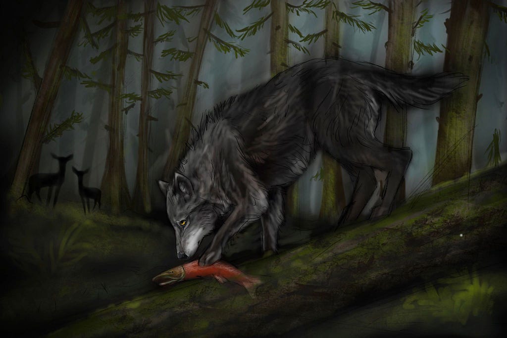 a digital drawing of a wolf eating a salmon in a thick forest
