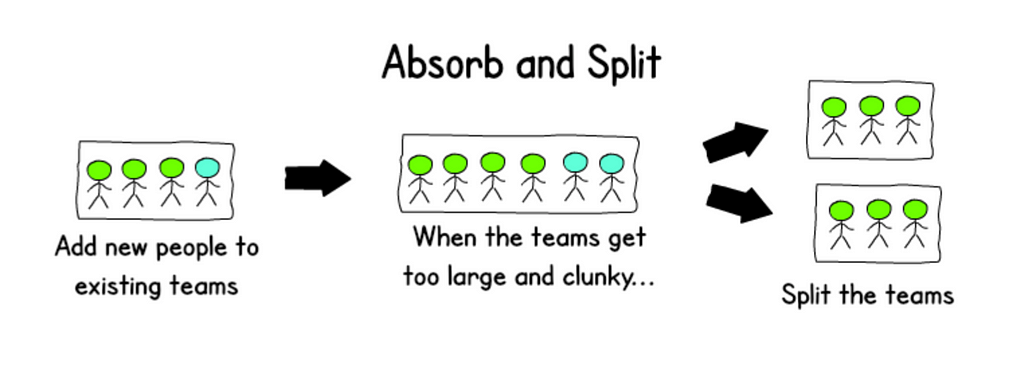 A diagram showing how teams can grow by absorbing new team members until the team grows too big and splits naturally into two teams.