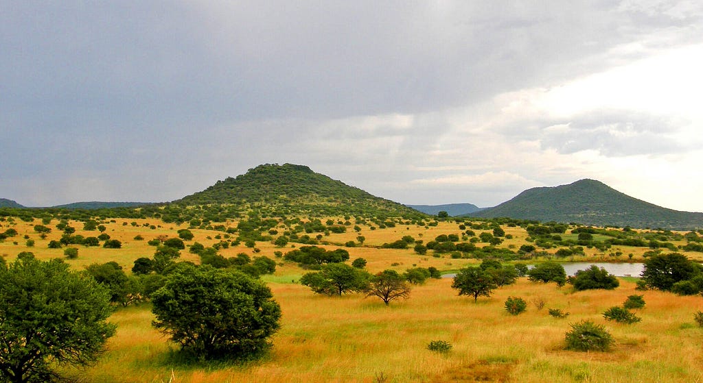 An image of upland savannah near Pietermaritzburg in KwaZula-Natal, South Africa.