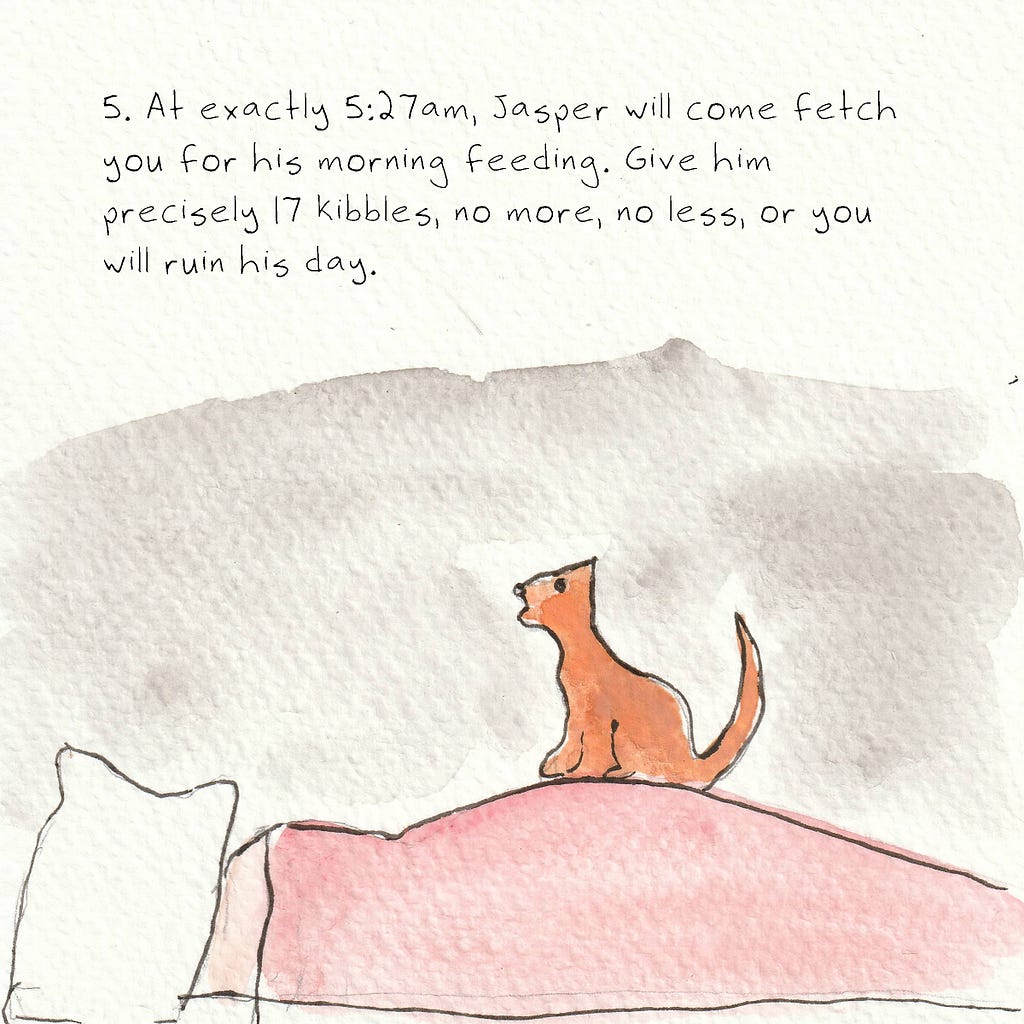 An orange cat sits in profile on top of the outline of a person sleeping in a bed with a pillow over their head. Text reads: 5. At exactly 5:27am, Jasper will come fetch you for his morning feeding. Give him precisely 17 kibbles, no more, no less, or you will ruin his day.