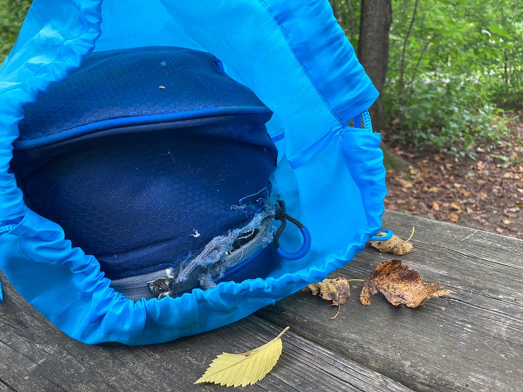 My lunch bag, infiltrated by squirrels, enclosed in a baby blue bag.
