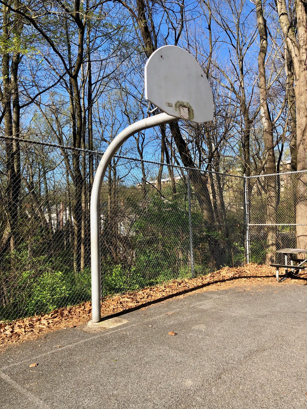 Image of the basketball court with the rims removed