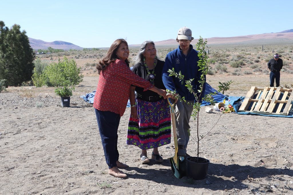 Three people holding a ceremonial golden shovel next to an about-to-be-planted sapling to mark the beginning of the installation of an ethnobotanical garden for the Pyramid Lake Museum in Northern Nevada.