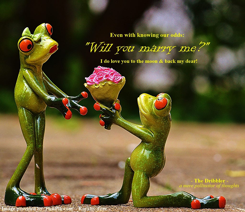 A frog on his knees as a frog standing up to marry him