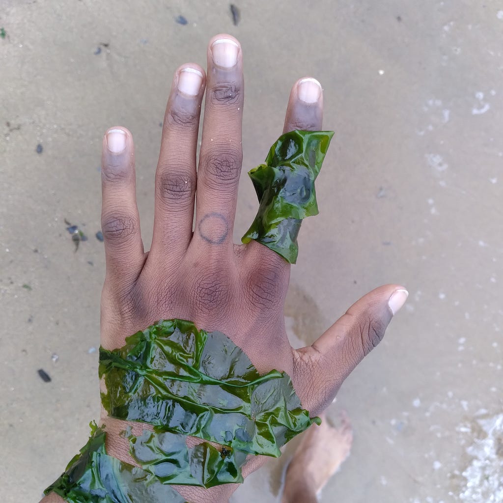 Simone “wears” light green seaweed on her left hand. Her hand faces upward where you can see her knuckles and fingernails. On her hand a piece of the seaweed lies on her index finger and some on the bottom part of her hand. Her middle finger has a tattooed circle on it at the bottom close to the knuckle. Simone is not sure what kind of seaweed this is, but it was floating in the ebb and flow of water at Mother Cove in Astoria, Queens. In the background is light brown sand & Simone’s right foot.