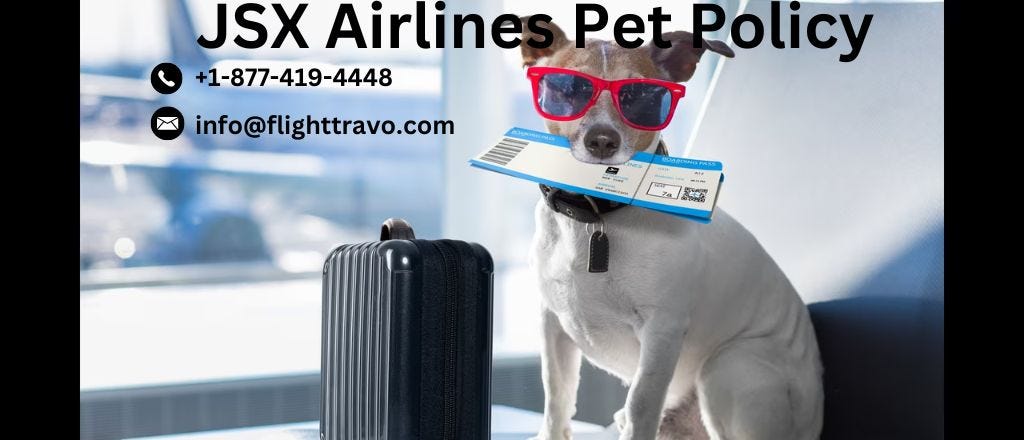 JSX Airlines Pet Policy
