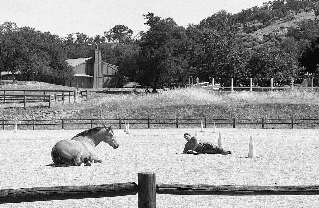 A horse lying down mirroring a person also lying down in the arena