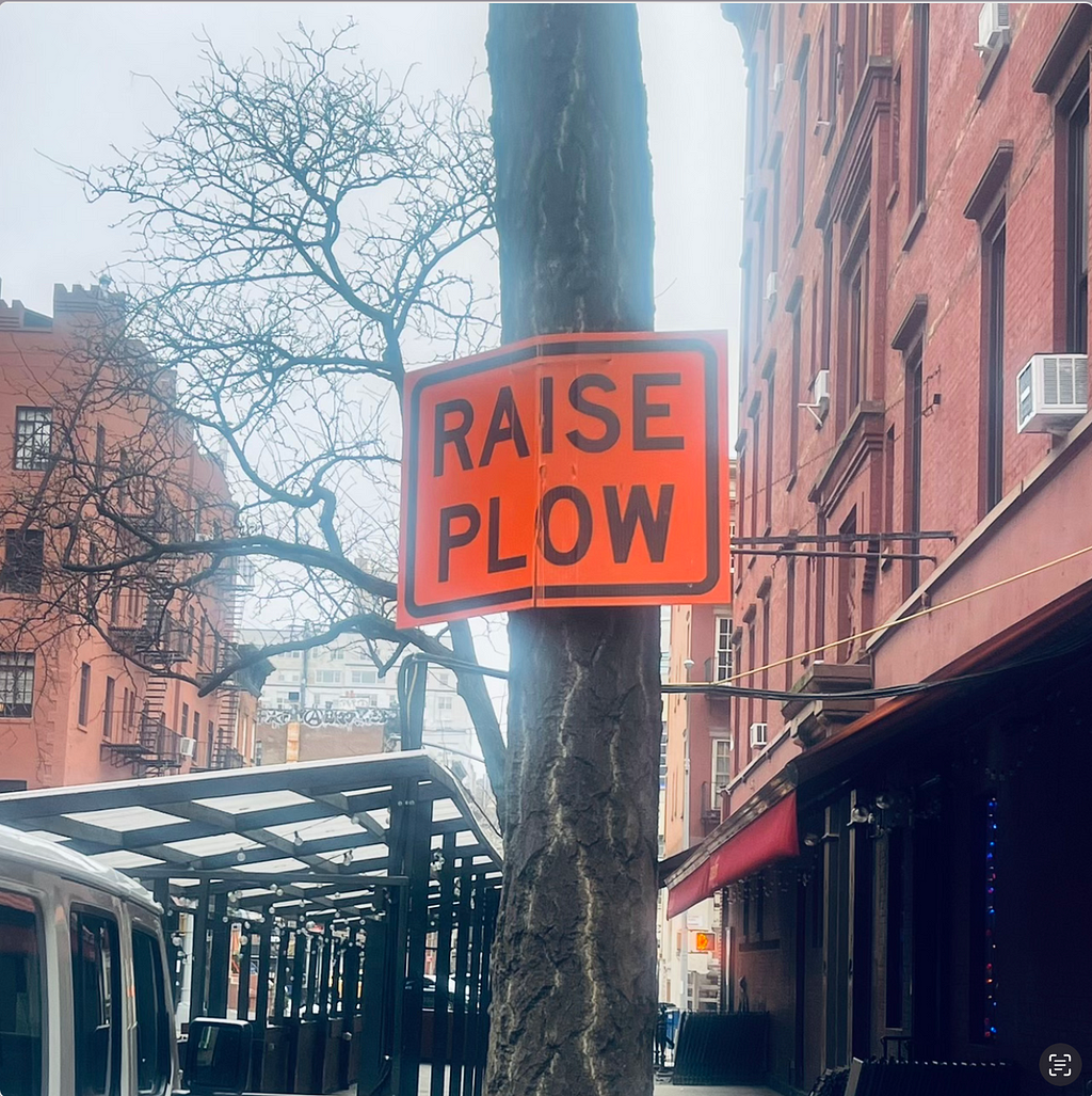Street sign that says Raise Plow on a New York City Street