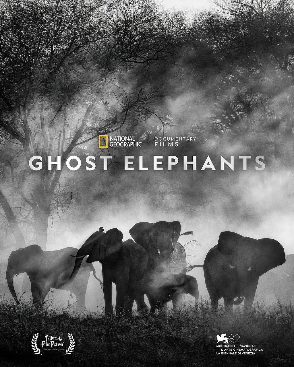 Photo by National Geographic