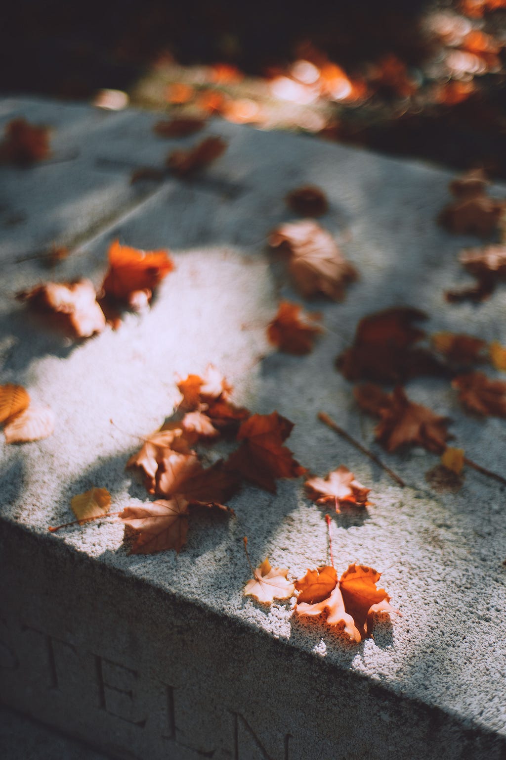 fallen leaves on gravestone