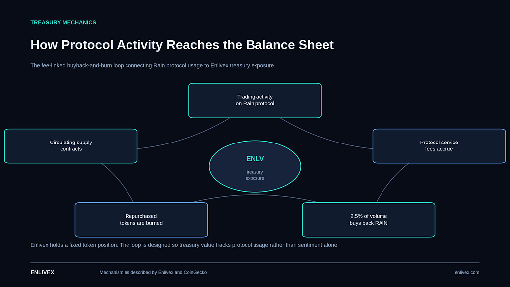 Circular flow diagram showing five stages connecting Rain protocol trading activity to Enlivex treasury exposure: trading activity, protocol fees, 2.5 percent buyback of RAIN, token burn, and contracting circulating supply.